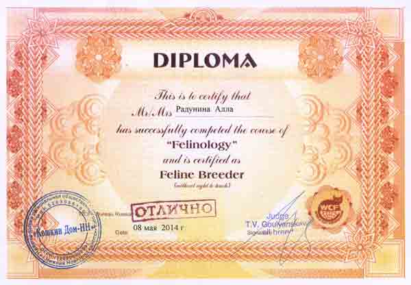 Сертификат WCF