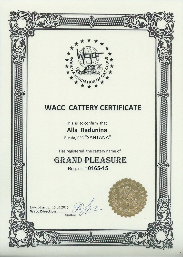 Сертификат WACC